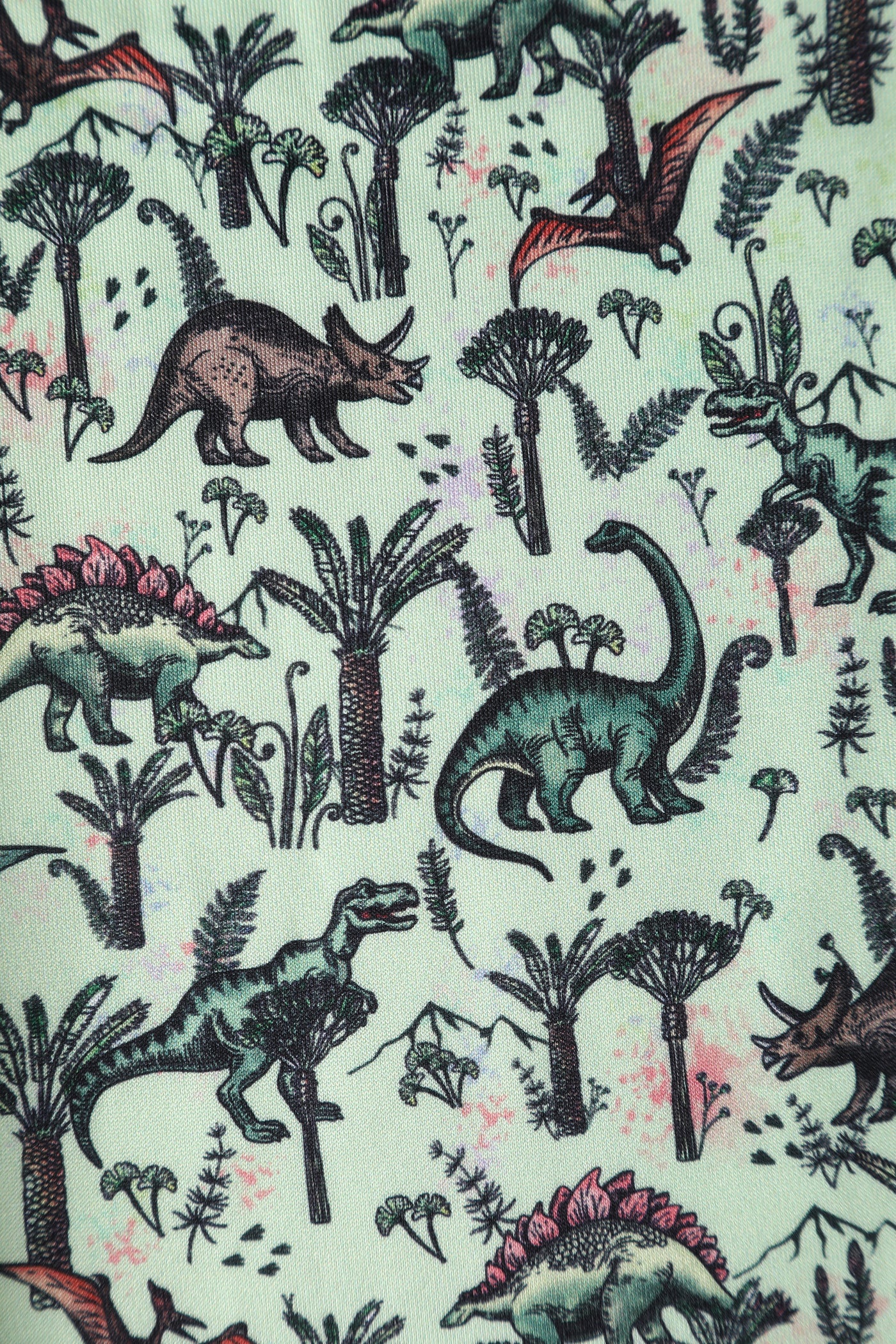 Amanda Light Green Dinosaur Print Swing Dress