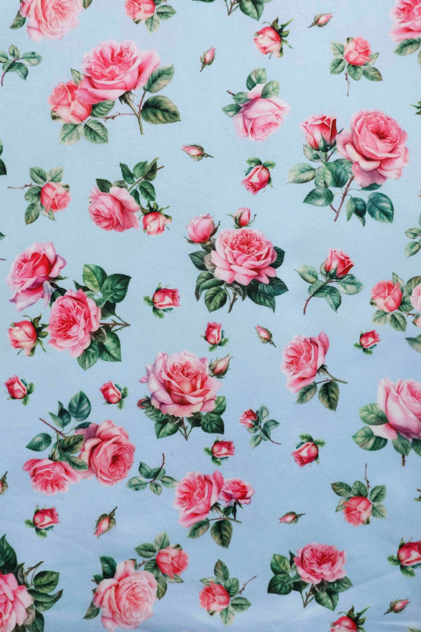 Close up view of Pink Rose Day Dress In Baby Blue